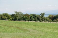 photographe-mariage-laique-domaine-de-belle-ferme-vaud-suisse-romande39