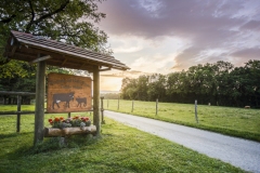 Domaine de Belle-Ferme