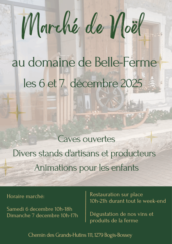 Marché de noel au domaine de belle-ferme
